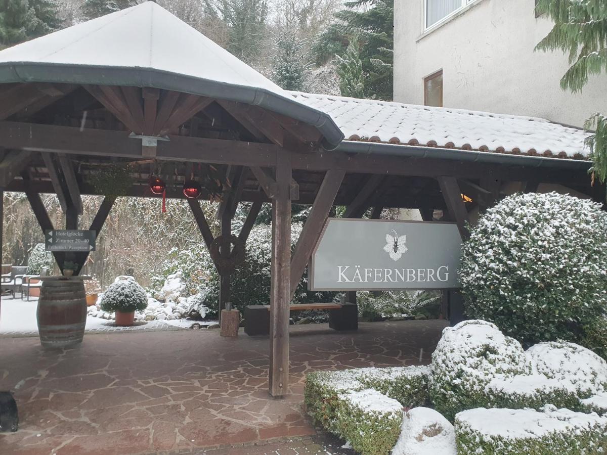 Kaefernberg - Weinhotel Алценау-ин-Унтерфранкен Екстериор снимка