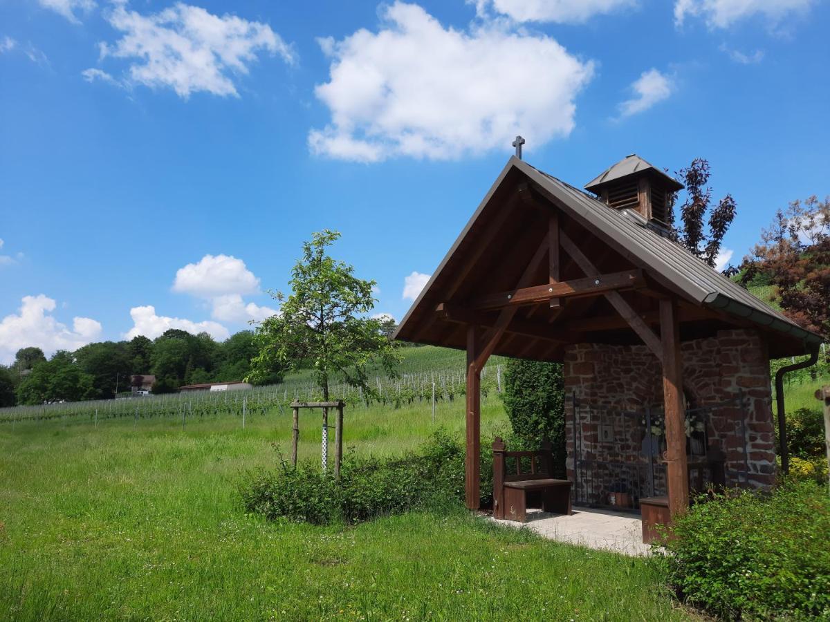 Kaefernberg - Weinhotel Алценау-ин-Унтерфранкен Екстериор снимка